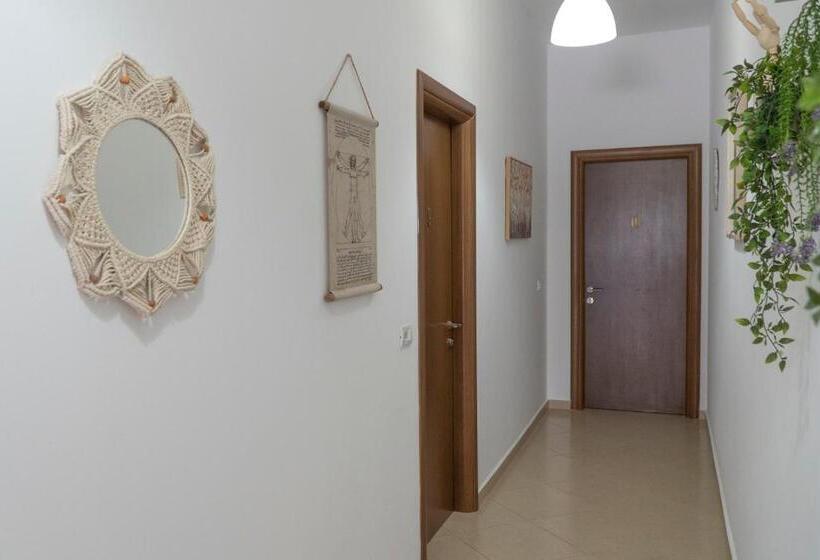 Oleva S Studios