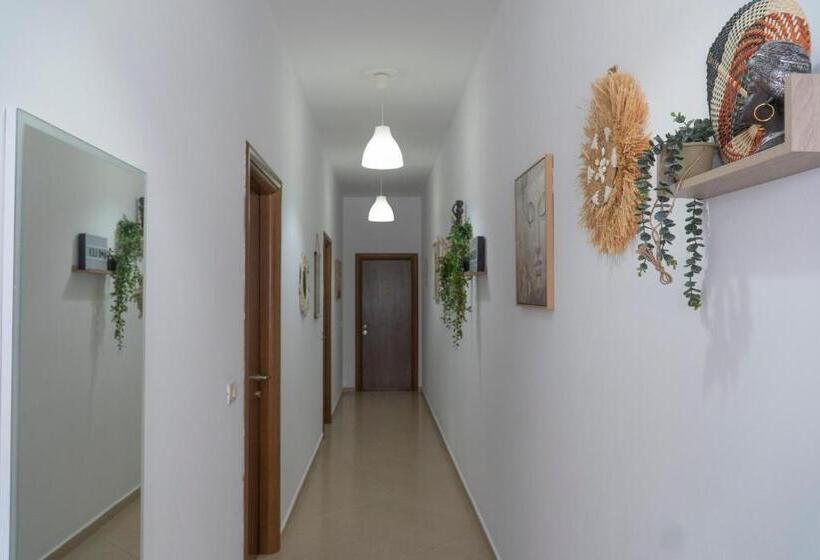 Oleva S Studios