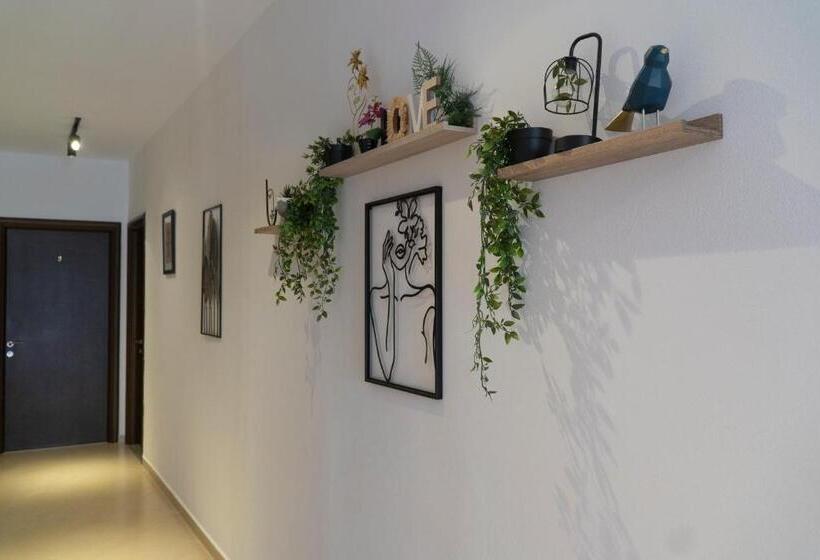 Oleva S Studios