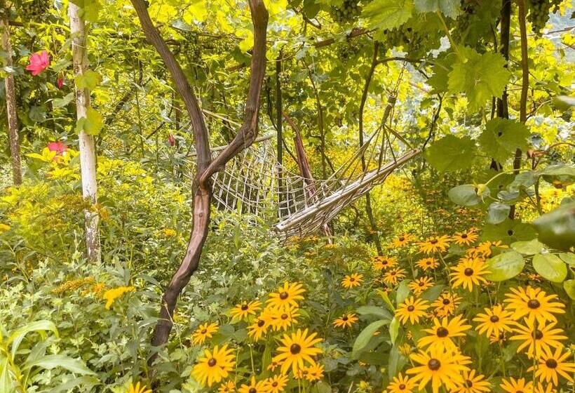 پانسیون Guest House Oasis   Tvishi