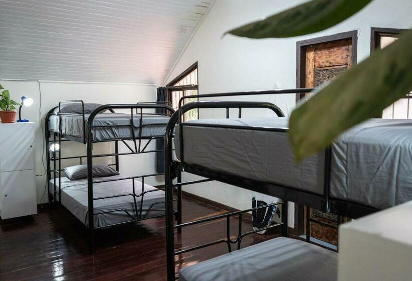 هاستل Mai Ke Kai Surf House