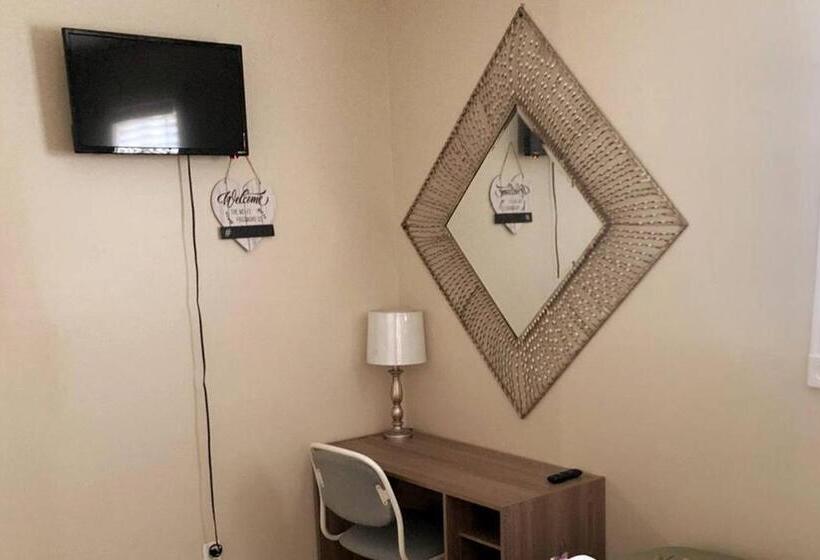 膳宿费 Room In House   The    Modern    Gem