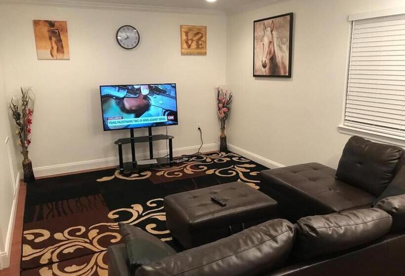 膳宿费 Room In House   The    Modern    Gem