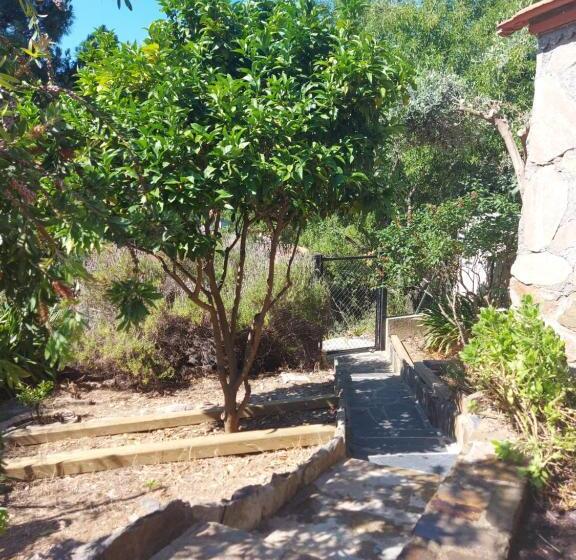 بنسيون Sur Les Hauteurs De Collioure