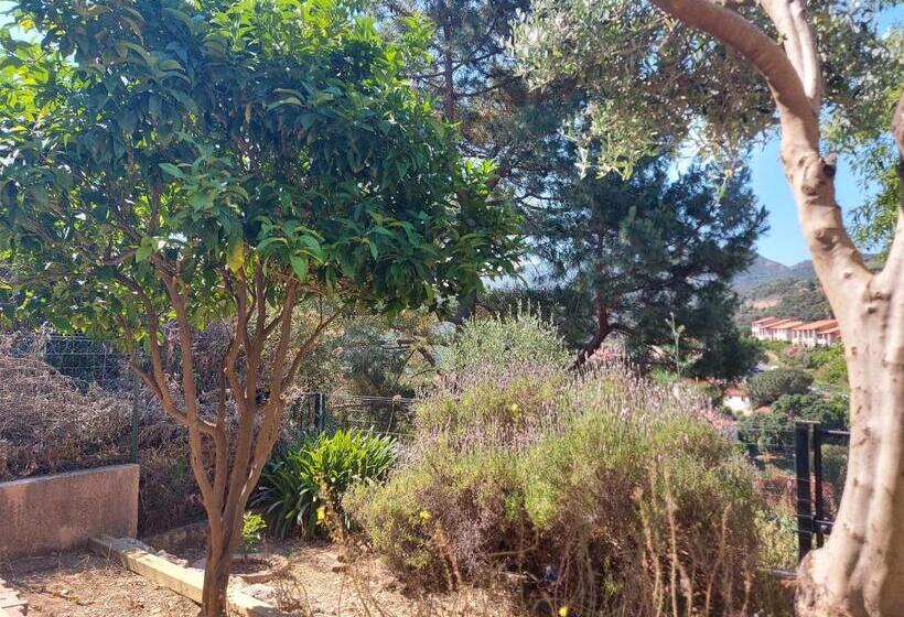 بنسيون Sur Les Hauteurs De Collioure