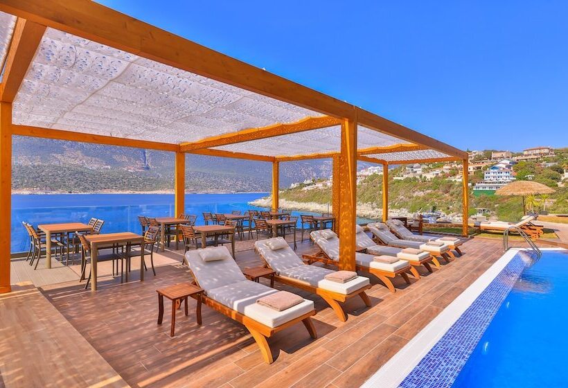 فندق Casa Bi