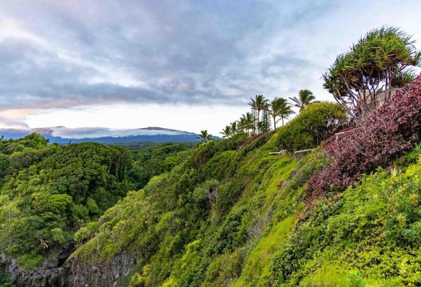 酒店 Gardenia Room On Tropical Lush Farm In Haiku, Maui