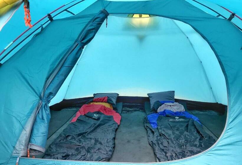 فندق صغير Bromo Dormitory & Camp