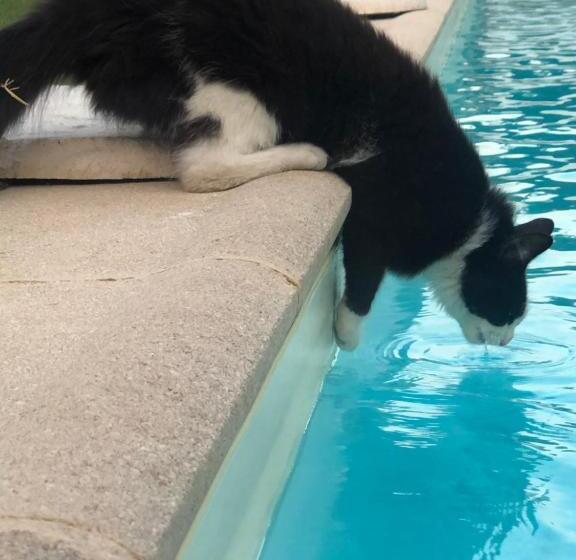 هتل Des 4 Vents Esprit Camargue