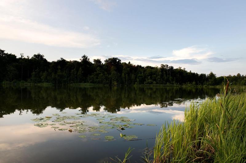 فندق Landgut Stober