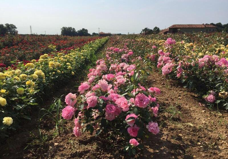 فندق Relais Santo Stefano