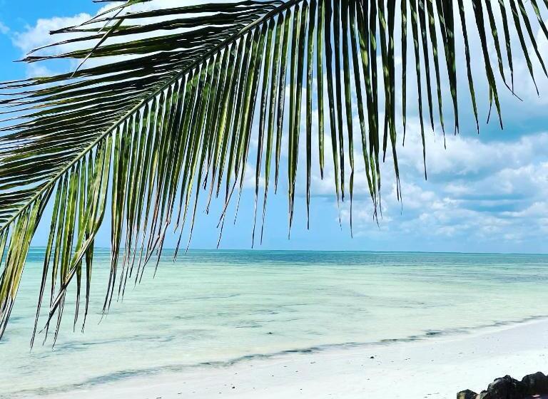 فندق Samaki Lodge