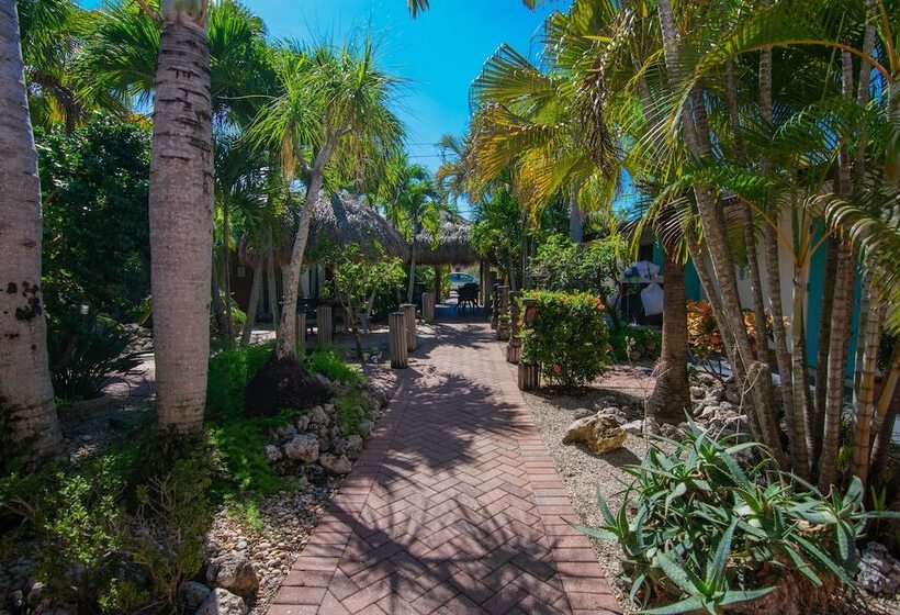 فندق على الطريق Bonita Beach Inn And Suites