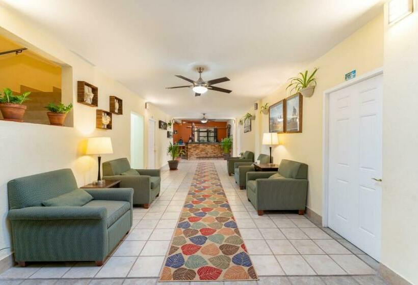 فندق El Faro Loreto