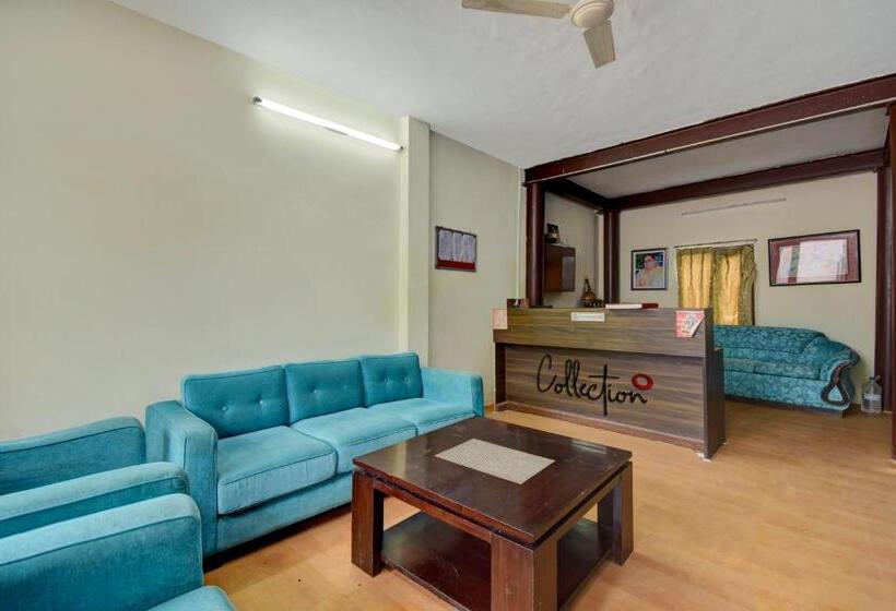 Hotel Collection O Paradise Oak Tree