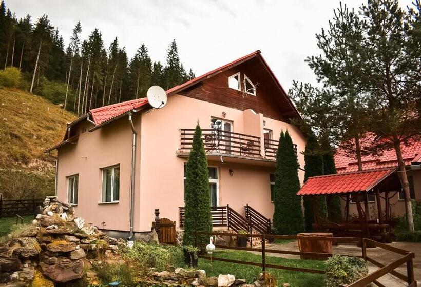 膳宿费 Complex Caprioara Toplita