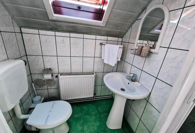 膳宿费 Complex Caprioara Toplita