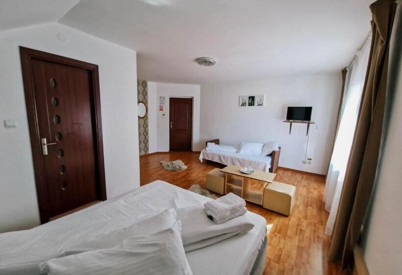 膳宿费 Complex Caprioara Toplita