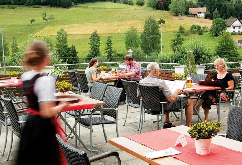 ユースホステル Gasthaus Zum Wilden Mann