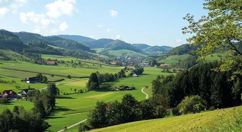 ユースホステル Gasthaus Zum Wilden Mann