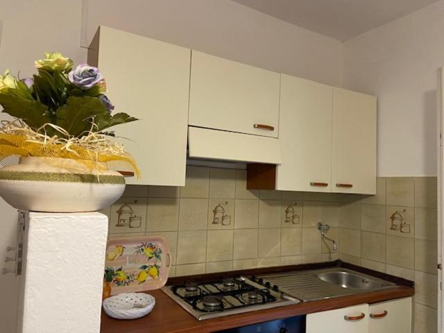 Bed & Breakfast Alex