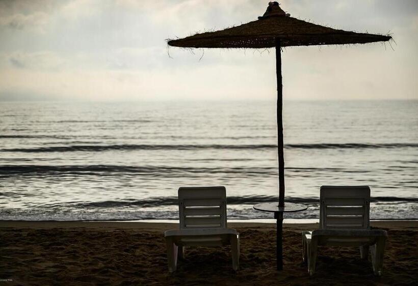فندق Playa Del Pacha Suites