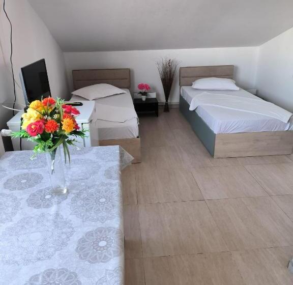 بنسيون Vila Gherghisan
