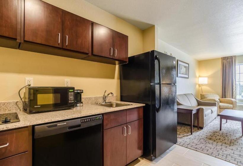 فندق Cobblestone Inn & Suites  Oberlin