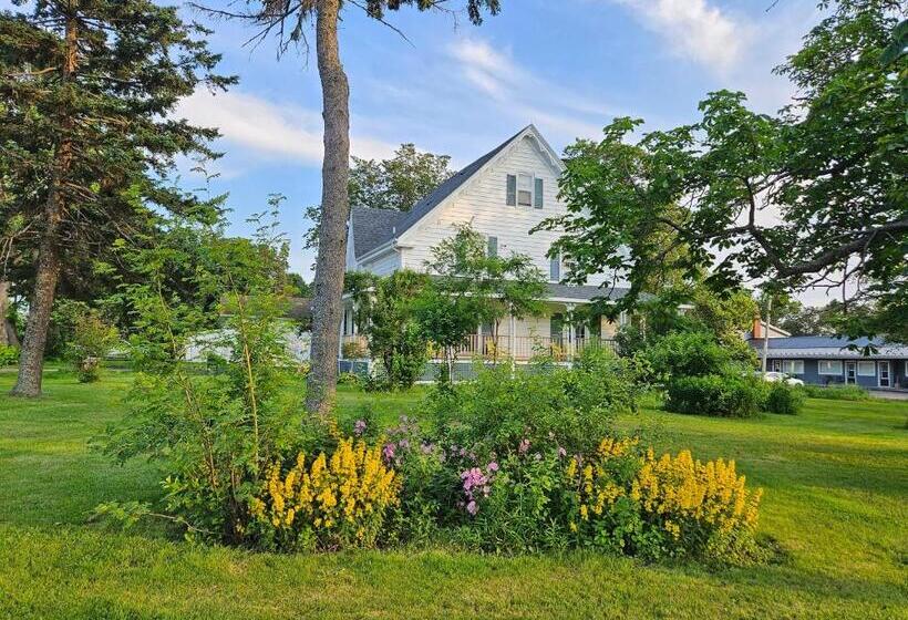 تختخواب و صبحانه Sunflower Guest Suites