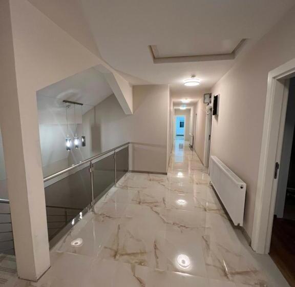 پانسیون Big House