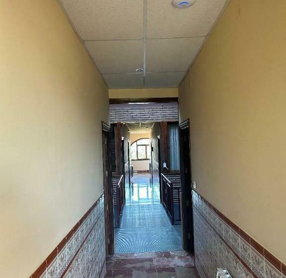 هاستل Hostal Transilvania