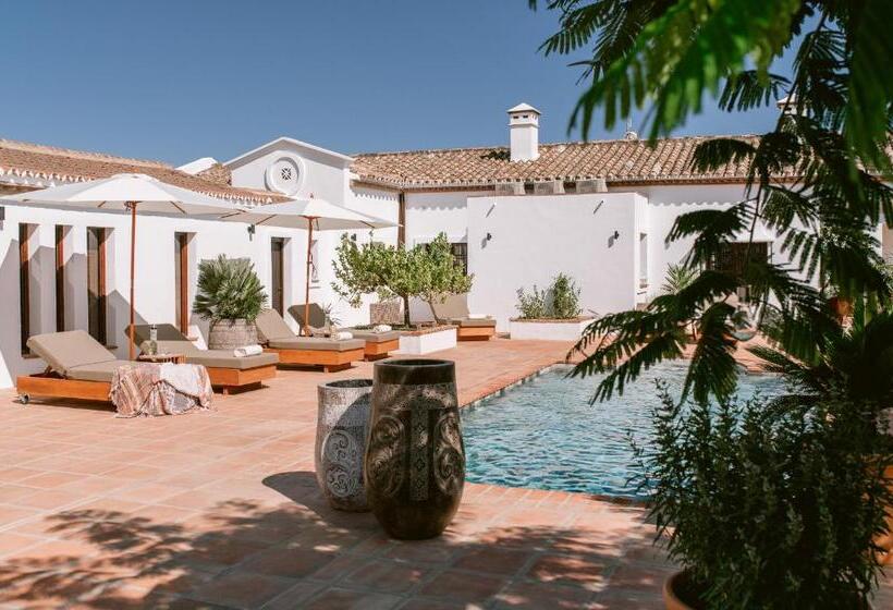 ホテル San Roque Suites De Monda
