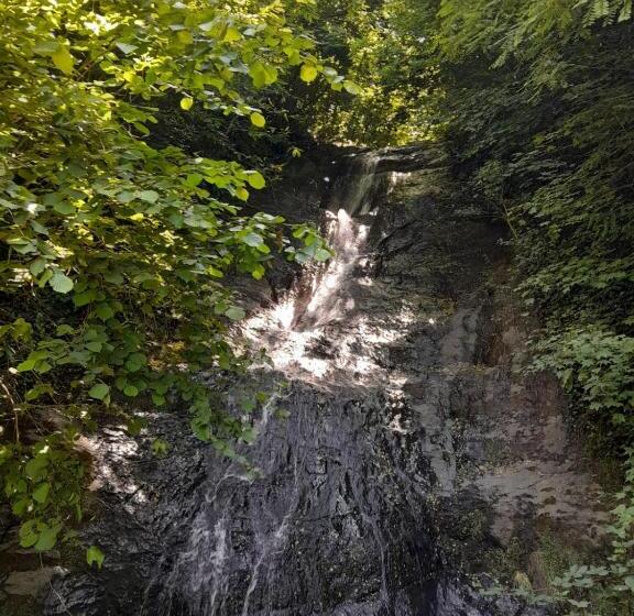 بنسيون Newsuit2023