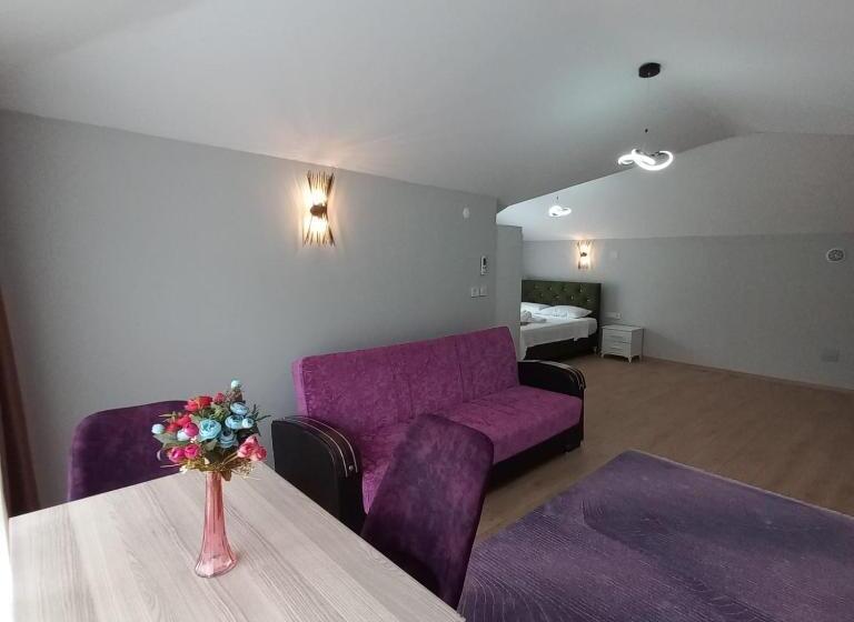 بنسيون Newsuit2023