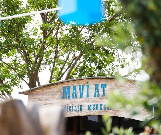 リゾートホテル Mavi̇ At Hotel Blue Horse
