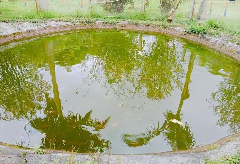 Finca Hotel Paisaje Cafetero