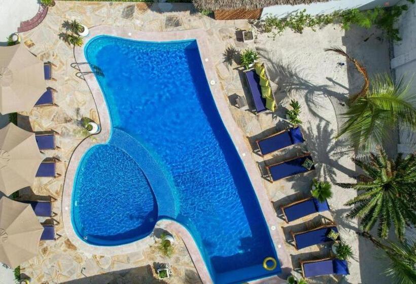 مبيت وإفطار Amber Lodge