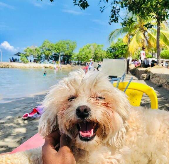 هتل Hermoso Caribe