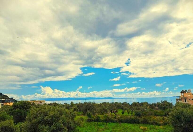 住宿加早餐 Villa Tonia