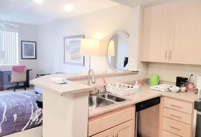 Disney Fullerton Homes And Lofts