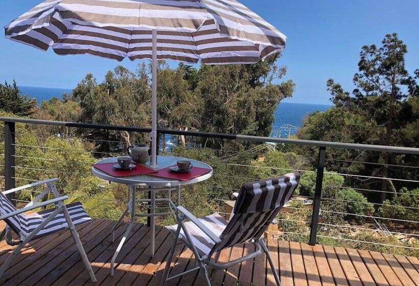 مبيت وإفطار Lofts Casa El Pangue Zapallar