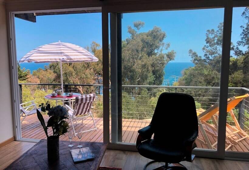 مبيت وإفطار Lofts Casa El Pangue Zapallar