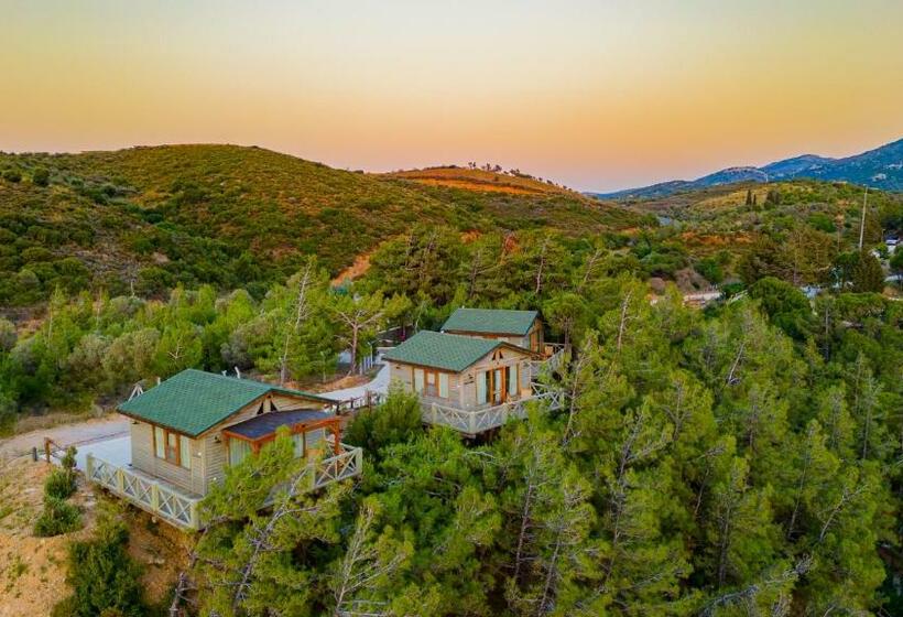 ホテル Kairos Valley Health & Nature Resort