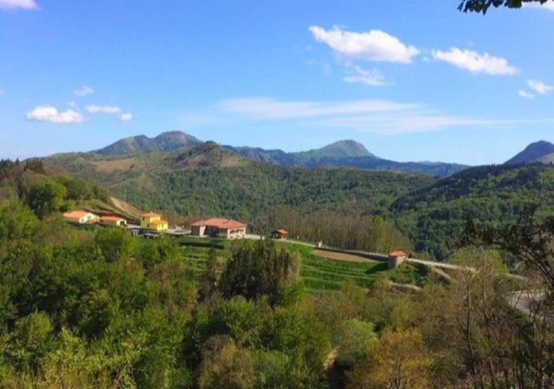 بنسيون Colle Del Faggio Nature Room