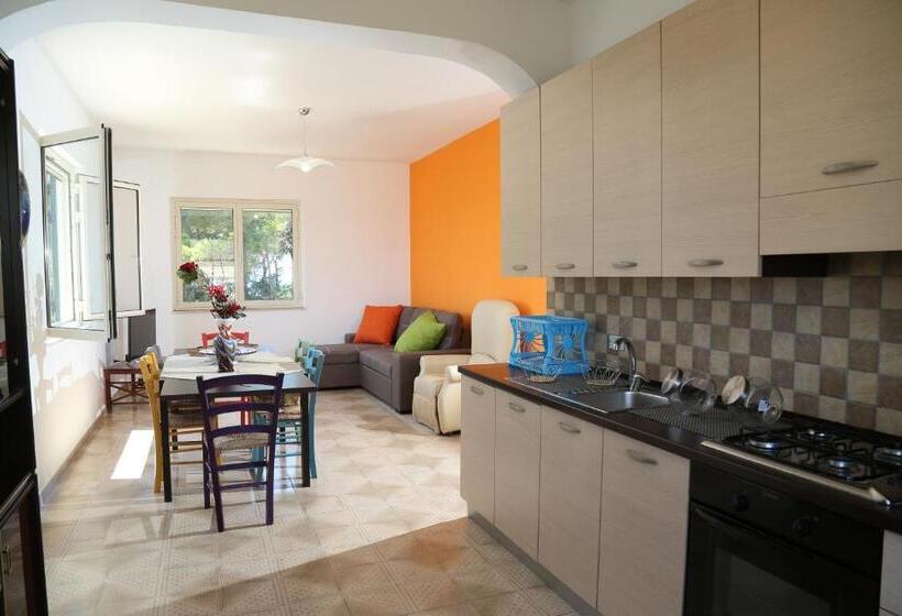 پانسیون Petraleuka