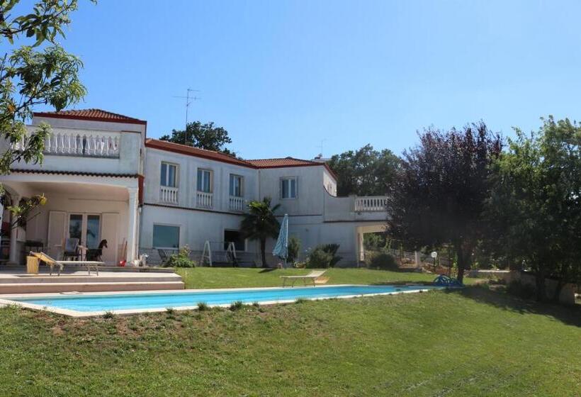 B&b Belvedere