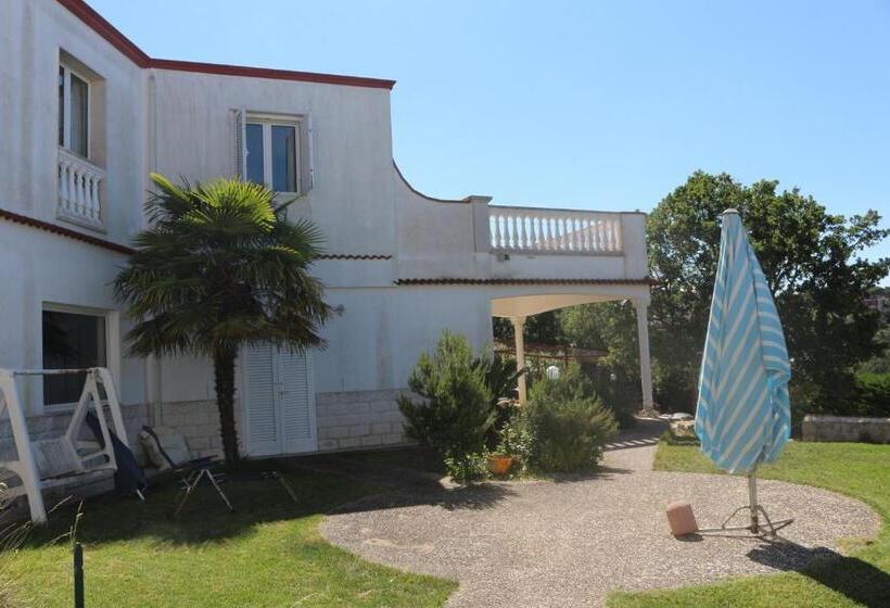 B&b Belvedere