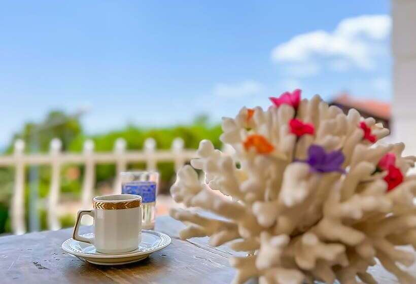 Abelia Otel