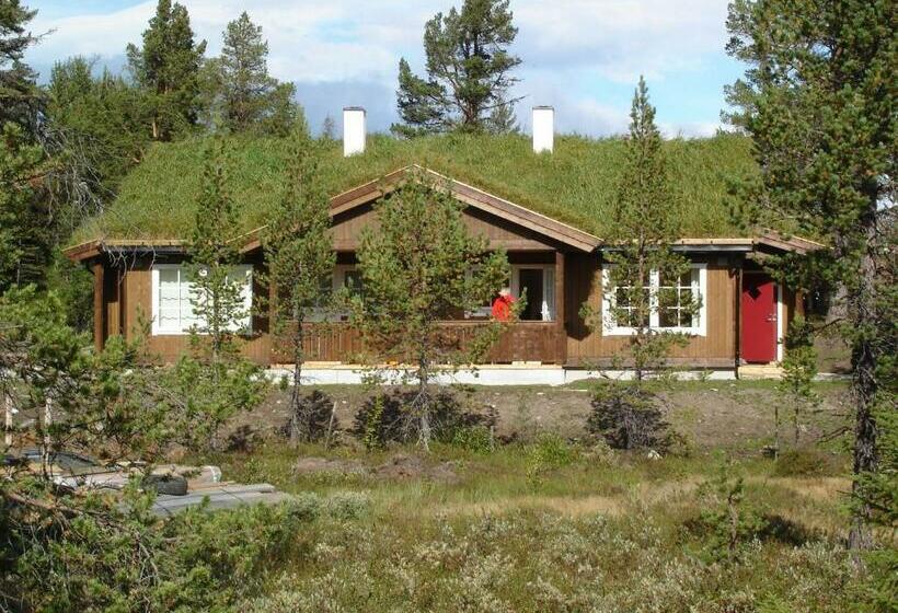 בית מלון כפרי Lemonsjø Fjellstue Og Hyttegrend