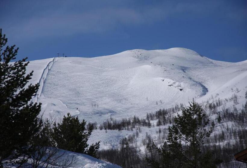 בית מלון כפרי Lemonsjø Fjellstue Og Hyttegrend